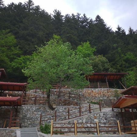 Turkuaz Apart Uzungöl Exterior foto