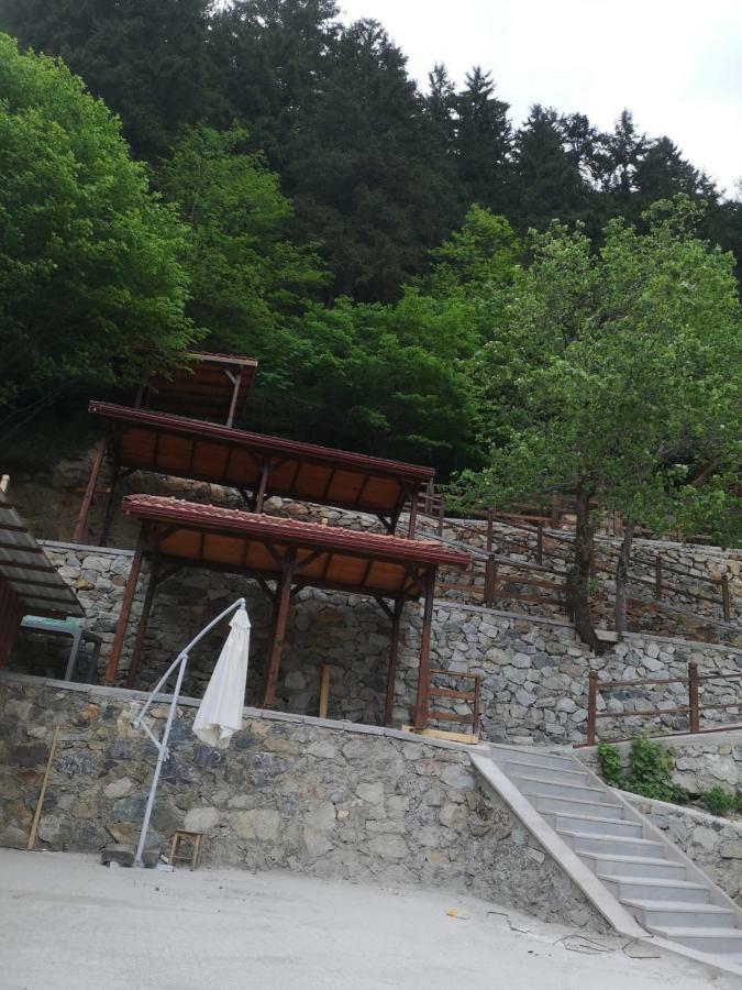 Turkuaz Apart Uzungöl Exterior foto